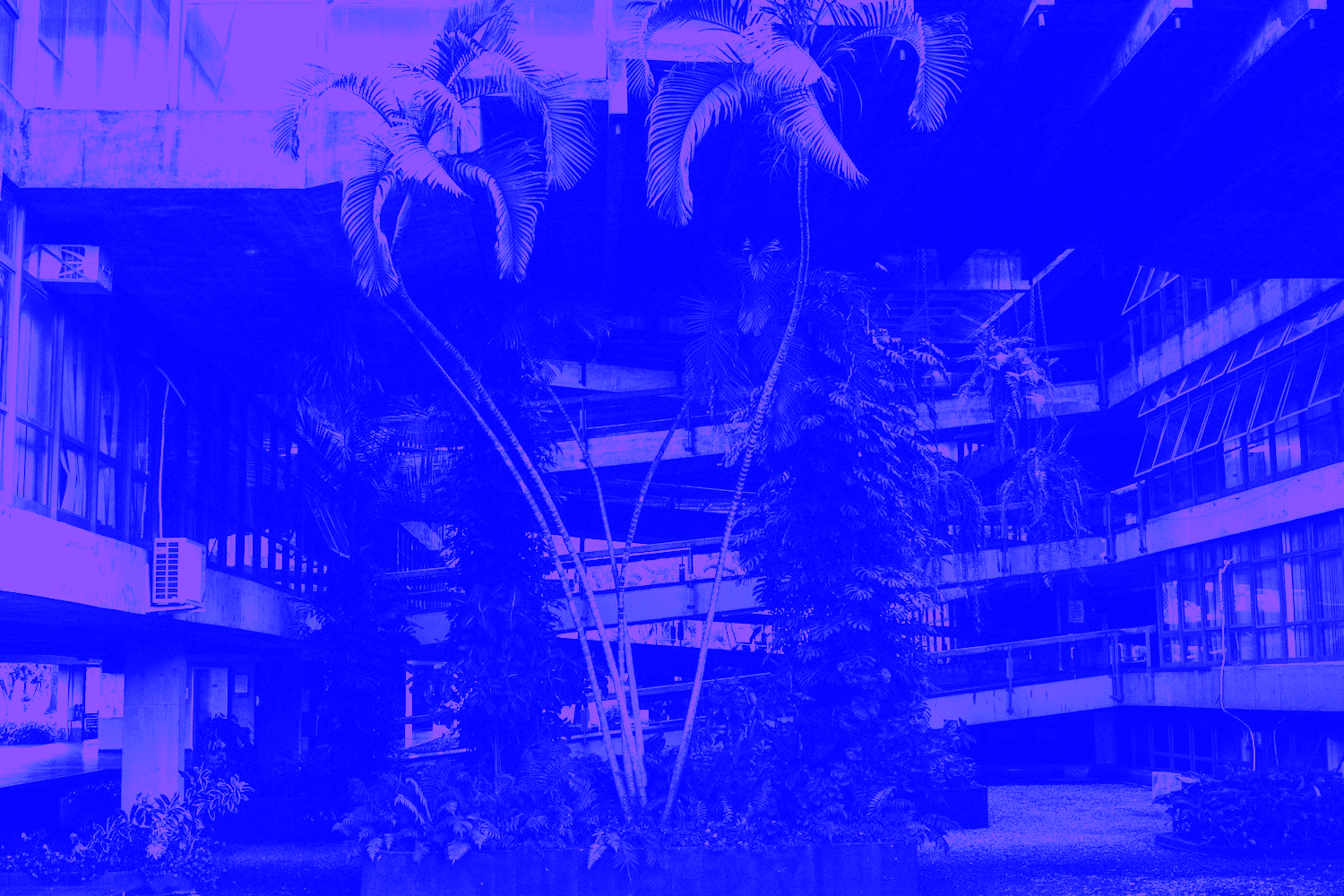 Hover Image